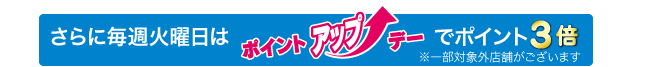 さらに毎週火曜日はポイントアップデーでポイント3倍