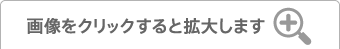 画像をクリックすると拡大します