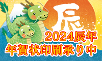sanliv2024