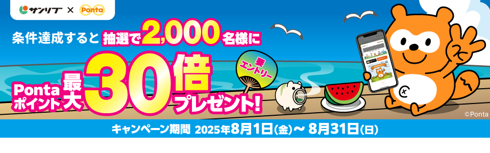 shop_slide_ponta2507