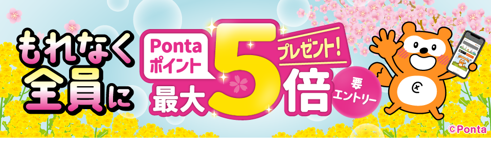 shop_slide_pontacp2604