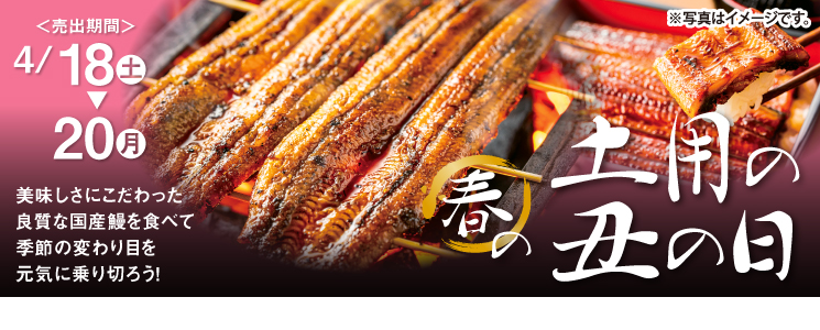 top_slide_harudoyou2604